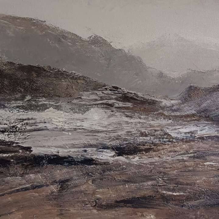 punta del hidalgo